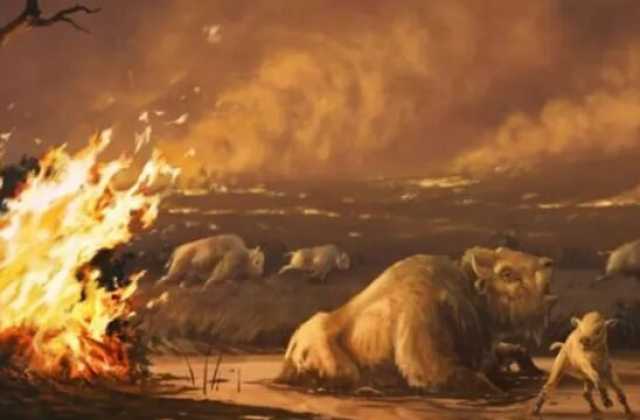 آتش سوزی های عمدی گسترده توسط انسان ها در عصر باستان
